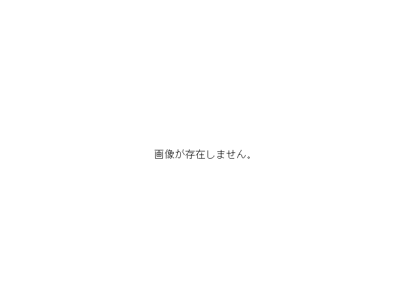 『日本関係海外史料目録』 日本関係海外史料目録 2 蘭国 2 p.77